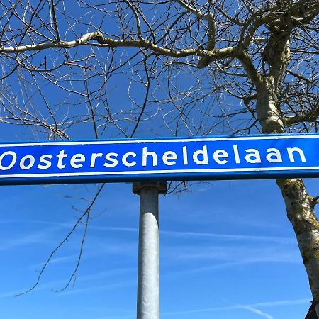 Vakantiehuis Met Luxe Tuin Dichtbij Het Strand Kamperland Ngoại thất bức ảnh