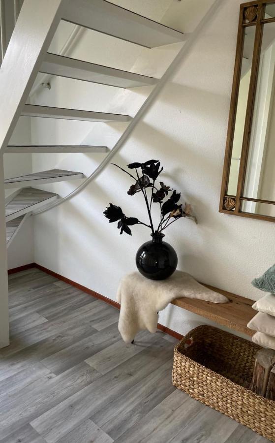 Vakantiehuis Met Luxe Tuin Dichtbij Het Strand Kamperland Ngoại thất bức ảnh