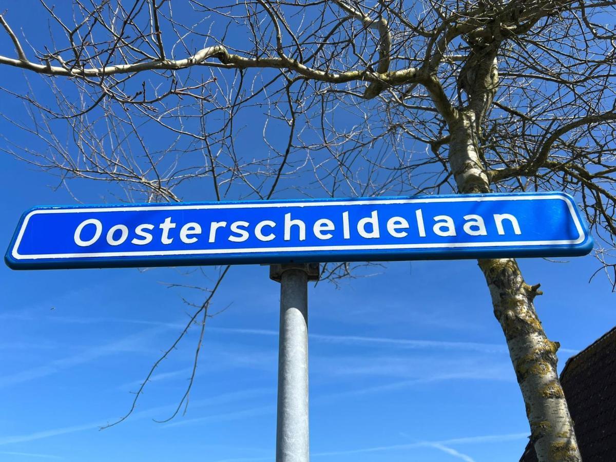 Vakantiehuis Met Luxe Tuin Dichtbij Het Strand Kamperland Ngoại thất bức ảnh
